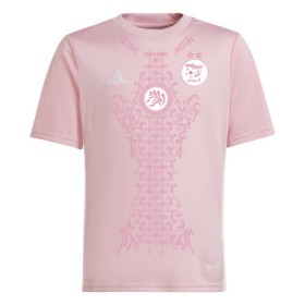 Nigeria Shirt Roze 2024